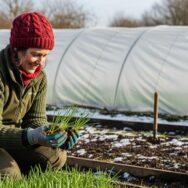 Soonnight - Potager mi-janvier : semez et plantez dès maintenant ces 4 légumes pour des récoltes précoces