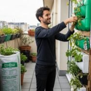 Soonnight - Jardiniers débutants délaissent la terre pour un mur végétal fait de déchets, économique et gain de place