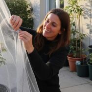 Soonnight - Vague de froid: 8 gestes de dernière minute ce soir pour protéger votre jardin du gel