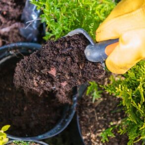 Marc de café: l’astuce naturelle qui sécurise les allées verglacées sans abîmer les sols cet hiver