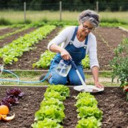 mcetv - Chats errants au potager : 5 astuces radicales pour les éloigner sans leur faire de mal