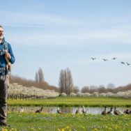 SoonNight - 15 parcs français à découvrir absolument ce printemps 2026 : votre guide des plus beaux espaces verts