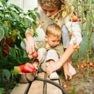 Gel au potager : voici les 3 gestes pour sauver vos plants en urgence avant qu'il soit trop tard