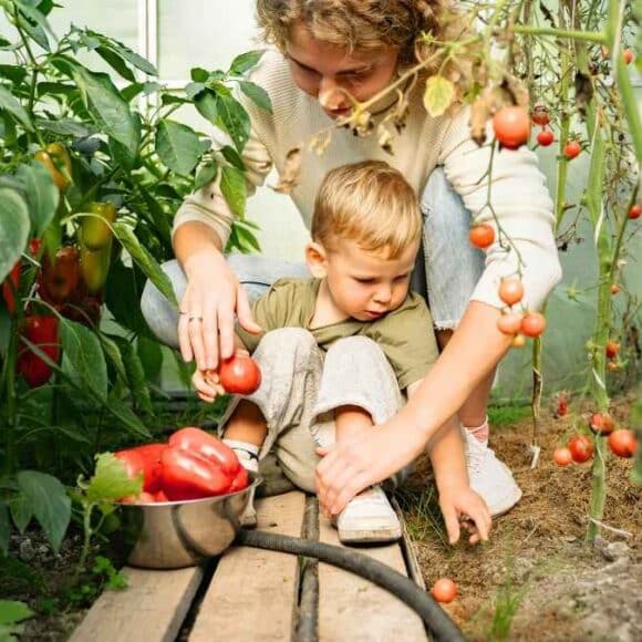 Gel au potager : voici les 3 gestes pour sauver vos plants en urgence avant qu'il soit trop tard