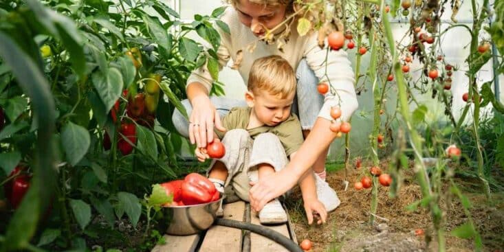 Gel au potager : voici les 3 gestes pour sauver vos plants en urgence avant qu'il soit trop tard