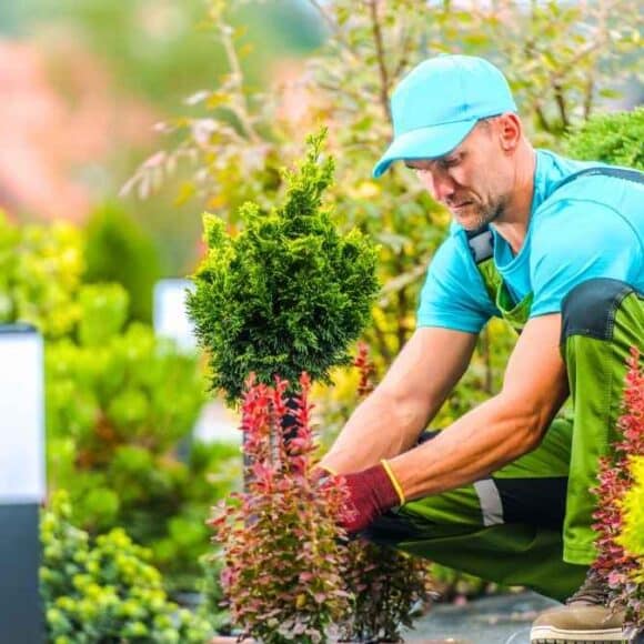 Plantes interdites dans votre jardin depuis 2026 : les garder vous expose à 150 000 € d'amende