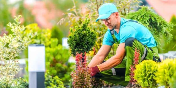 Plantes interdites dans votre jardin depuis 2026 : les garder vous expose à 150 000 € d'amende