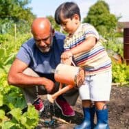 Arrosage des plantes : cette astuce avec une pomme de pin vous indique quand vos végétaux ont besoin d'eau
