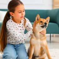 Morsures de chien : pourquoi les enfants de moins de 5 ans ne doivent jamais rester seuls avec votre animal