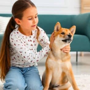Morsures de chien : pourquoi les enfants de moins de 5 ans ne doivent jamais rester seuls avec votre animal