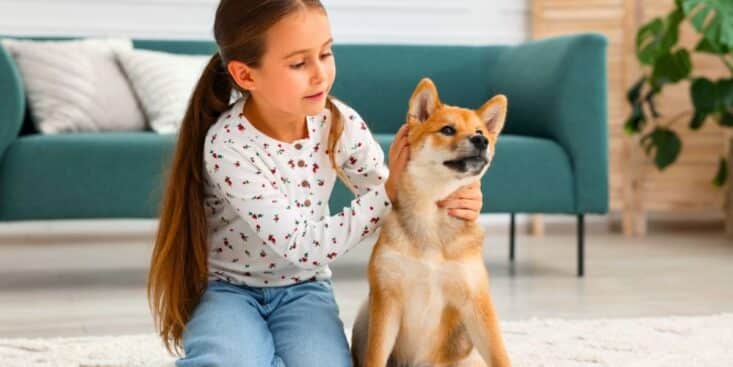 Morsures de chien : pourquoi les enfants de moins de 5 ans ne doivent jamais rester seuls avec votre animal