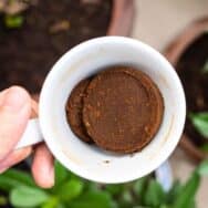 Ce déchet de café du matin que vous jetez chaque jour peut nettoyer, embellir et fertiliser à votre place