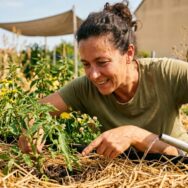 Soonnight - «Cela fait un effet loupe et ça crame» : ce spécialiste jardinage révèle comment sauver ses plantes pendant la canicule