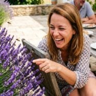 Soonnight - Fini les guêpes près de la terrasse : l'endroit où vous ne devez jamais planter votre lavande