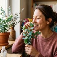 Soonnight - Fini les désodorisants chimiques dans la maison qui sent bon grâce à cette plante au parfum envoûtant