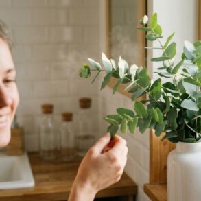 SoonNight - Fini les désodorisants chimiques dans la maison : cette plante naturelle parfume chaque pièce en continu
