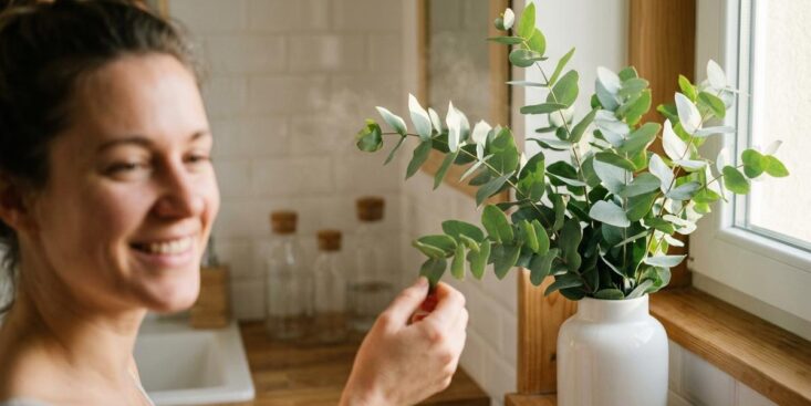 SoonNight - Fini les désodorisants chimiques dans la maison : cette plante naturelle parfume chaque pièce en continu