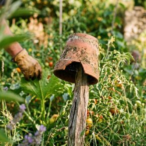 SoonNight - Ce pot retourné sur un piquet en bois cache un refuge vital, surtout ne le déplacez pas avant la fin de l'été