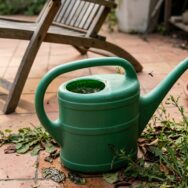 SoonNight - Ces quatre erreurs très banales sur la terrasse transforment vos soirées d'été en festin pour les moustiques tigres