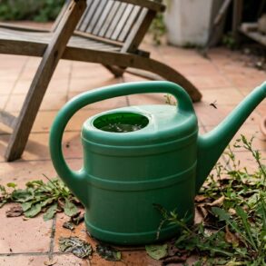 SoonNight - Ces quatre erreurs très banales sur la terrasse transforment vos soirées d'été en festin pour les moustiques tigres