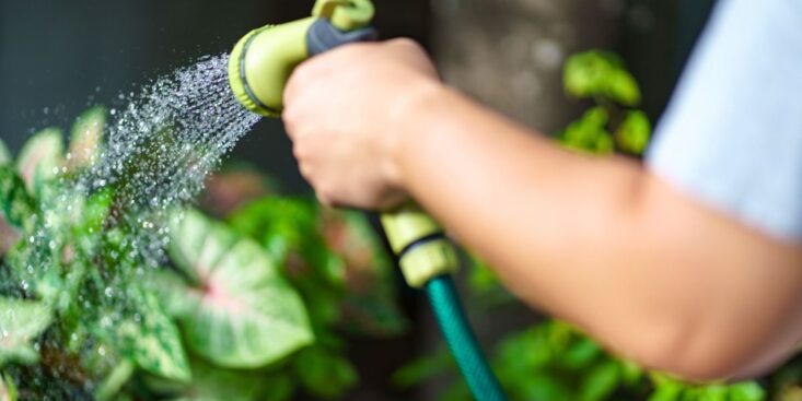 SoonNight - Arroser ses arbustes en pleine canicule devient inutile avec ces 3 gestes de paysagiste dès juillet